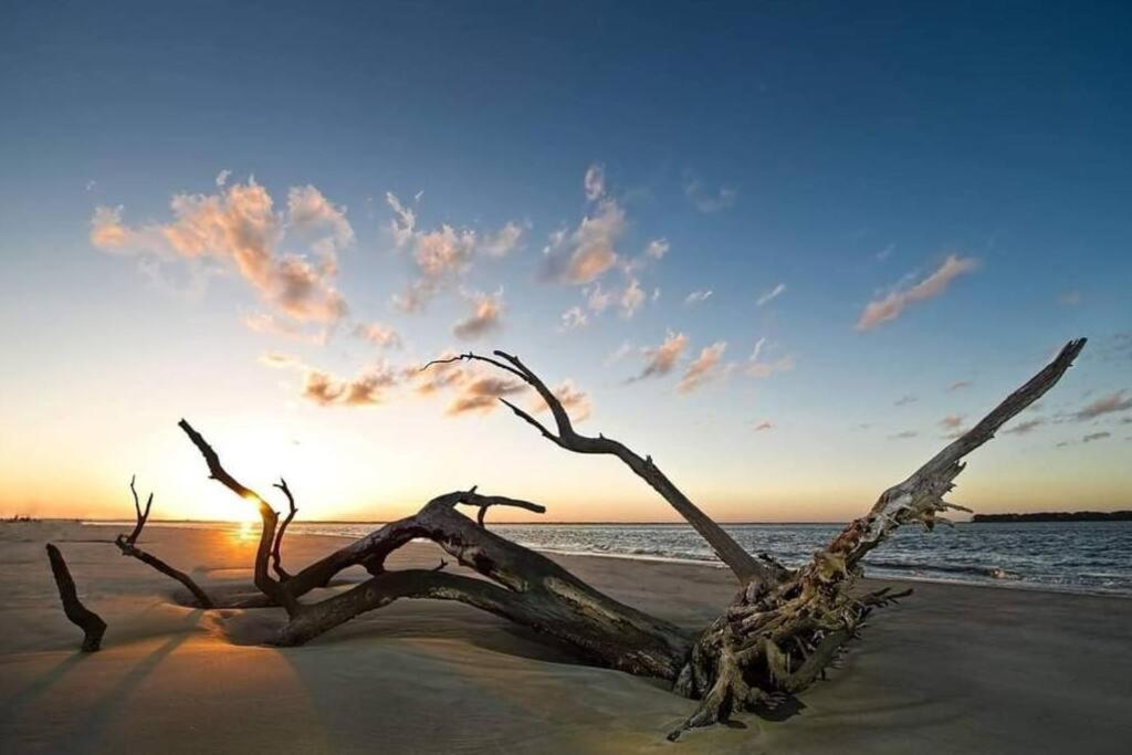 فيلا Jekyll Island House/ Kellys On The Coast /King Bed المظهر الخارجي الصورة